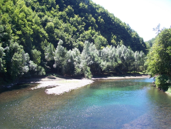  Image name: Fiume04.jpg 
 width: 601 pixel 
 height: 452 pixel 
 Size: 289089 bytes 
 Click to enlarge 